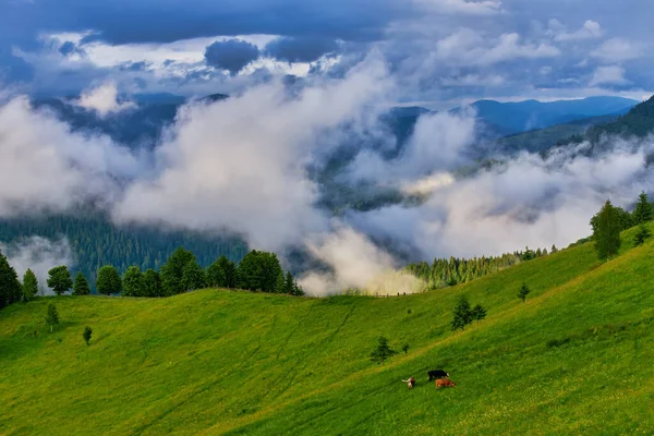 Summer Landscape Mountains Dark Blue Sky Clouds — Stock Photo, Image