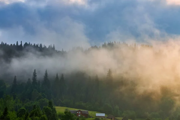 Paysage Avec Brouillard Dans Les Montagnes Les Rangées Arbres — Photo