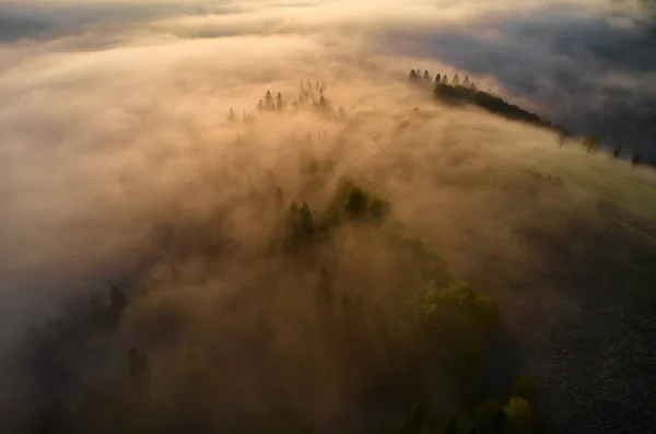 Ceaţa Răspândeşte Peste Munţi Zori Soarele Răsare Orizont Carpații Ucraineni — Fotografie, imagine de stoc