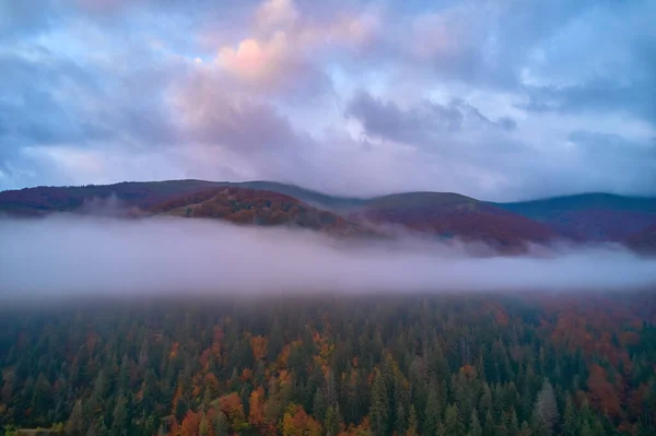 Горы Облаках Рассвете Летом Вид Воздуха Вершину Горы Зелеными Деревьями — стоковое фото