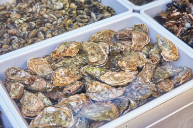 Napoli, İtalya 'da sokak pazarında fiyat etiketli midyeler ve deniz ürünleri.