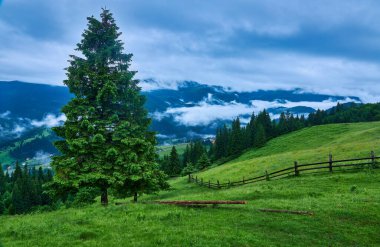 Sabah gökyüzü altında bulutlu görkemli dağlar. Fırtınadan önce bulutlu gökyüzü. Carpathian, Ukrayna, Avrupa.