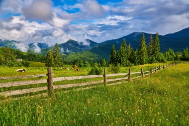 Yaz manzarası dağlarda ineklerle ve bulutlu koyu mavi gökyüzüyle