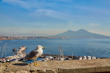 Napoli, Campania, İtalya ve Avrupa 'daki Vesuvius Dağı' nda panoramik manzaralı Castel dell Ovo Yumurta Şatosu 'nun duvarındaki martı. Napoli limanında feribot var. Bulutlar ve deniz manzarası.