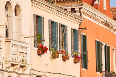 Pencere kahverengi panjurlar ve pot çiçeklenir. İtalya, Venedik, Burano