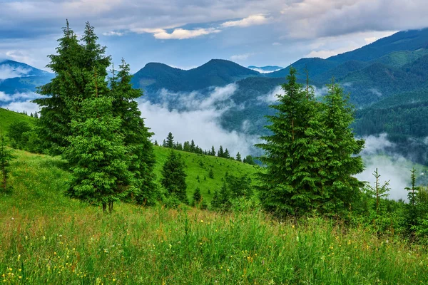 山の中の夏の風景と雲と暗い青空 — ストック写真