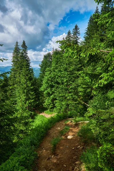 stock image Summer landscape in mountains and the dark blue sky with clouds