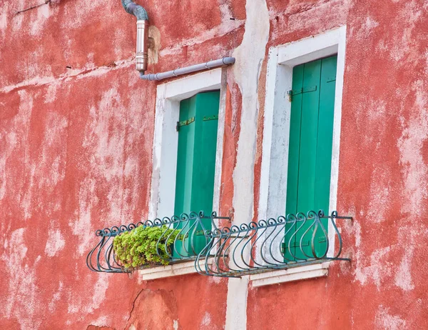 Παράθυρο Παντζούρια Πράσινο Και Λουλούδια Στην Κατσαρόλα Ιταλία Βενετία Burano — Φωτογραφία Αρχείου