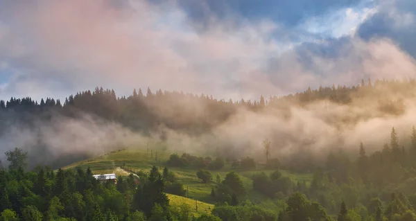 Mountain Meadow Morning Light Countryside Springtime Landscape Valley Fog Forest — Stock Photo, Image