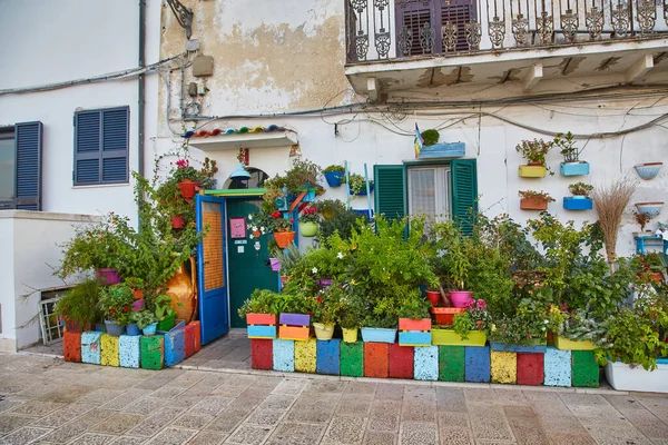 意大利阿普利亚美丽的狭窄街道 有老房子和盆栽的花 — 图库照片