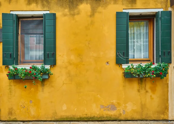Egy Bájos Európai Ház Két Ablakkal Lógó Virágokkal Zöld Régi — Stock Fotó
