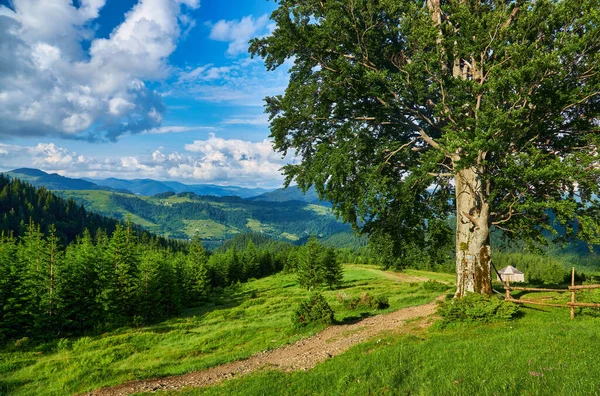 Dağlardaki yaz manzarası ve bulutlu koyu mavi gökyüzü.