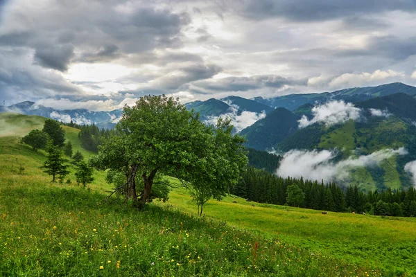 Letni Krajobraz Górach Ciemnoniebieskie Niebo Chmurami — Zdjęcie stockowe