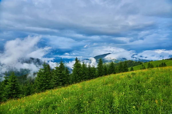 Літній Пейзаж Горах Темно Синє Небо Хмарами — стокове фото
