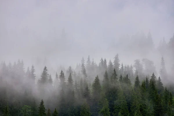 Paisagem Abstrata Nas Montanhas Com Nevoeiro Floresta — Fotografia de Stock