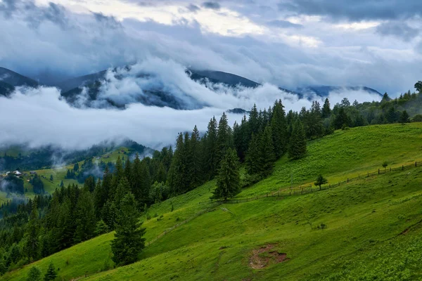 Idyllische Landschaft Den Alpen Mit Frischen Grünen Wiesen Und Blühenden — Stockfoto