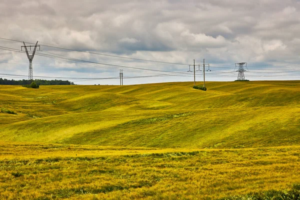 Electric poles in wipe, yellow wheat fields at daytime. Transportation of alternative and renewable electricity.