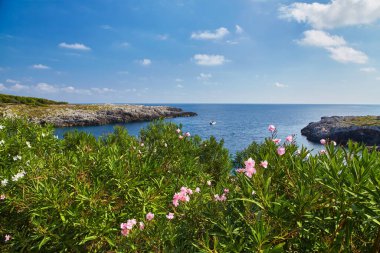 Gagliano del Capo 'daki Il Ciolo Plajı, Salento, İtalya
