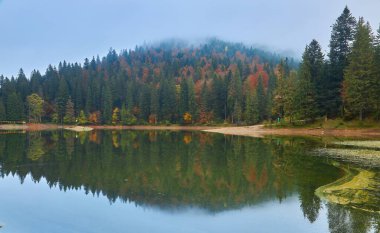 Sonbaharda Synevyr Dağı 'nın manzarası. Sabahları güzel doğa manzarası. Kıyıdaki ladin ormanı. Synevyr Ulusal Parkı, Ukrayna