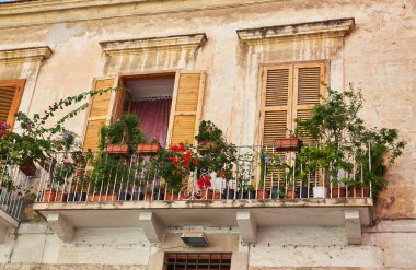 Geleneksel Avrupa balkon renkli çiçekler ve Çiçeklik