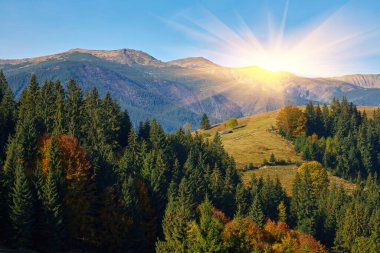 Transilvanya dağı Romanya 'da çitli renkli sonbahar manzarası