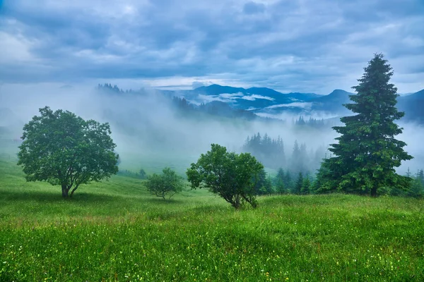 Landschaft Mit Nebel Bergen Und Baumreihen — Stockfoto