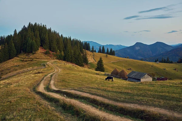 秋天的风景 牧场上的干草堆 喀尔巴阡山脉 — 图库照片