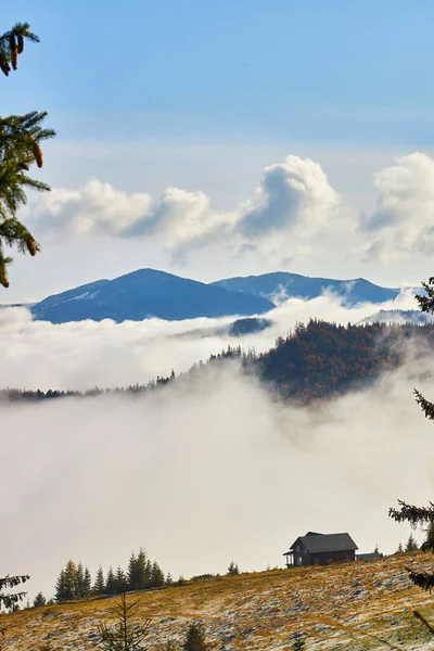 Herbst Nebel Landschaft Wald Berge Bäume Blick Nebel — Stockfoto