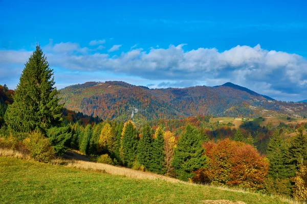 Горный Осенний Пейзаж Красочным Лесом — стоковое фото