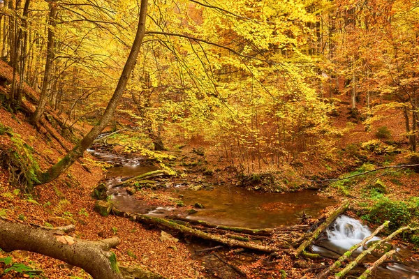 Jesienna Rzeka Parku Leśnym Październiku Krajobraz — Zdjęcie stockowe