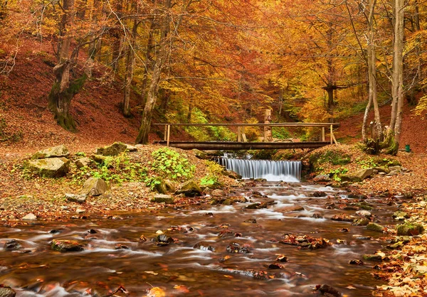 秋天的森林里 一座横跨一条急流的桥 秋天的河流景观 — 图库照片