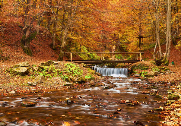 A bridge over a fast stream in the autumn forest. Autumn river stream view.
