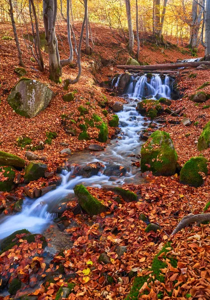 Осенний Речной Ручей Лесном Парке Октябре Ландшафт — стоковое фото