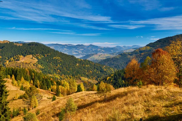Bunte Herbstlandschaft Mit Zaun Siebenbürgen — Stockfoto