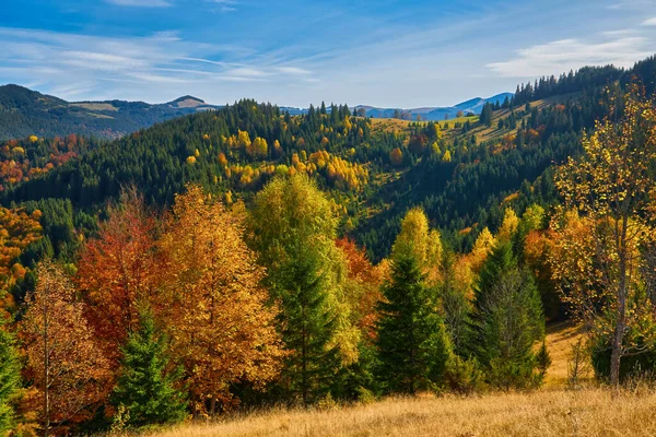 カラフルな森のある山の秋の風景 — ストック写真