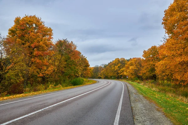 Асфальтовая Дорога Опавшими Листьями Осеннем Лесу Сосредоточьтесь Переднем Плане — стоковое фото