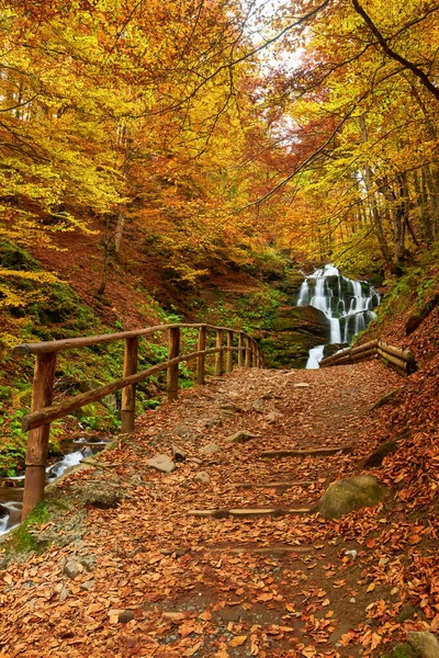 Όμορφη Καταρράκτη Shipot Στο Δάσος Του Φθινοπώρου Των Καρπαθίων Ορέων — Φωτογραφία Αρχείου