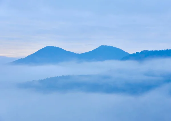 Automne Brouillard Paysage Forêt Montagnes Arbres Vue Brouillard — Photo