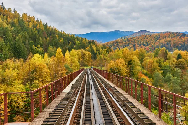 俯瞰普鲁特河上方的铁路桥 乌克兰Yaremche喀尔巴阡山脉美丽的秋天 — 图库照片