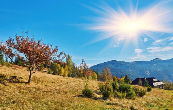 秋天一个阳光灿烂的日子里的森林 山区景观 — 图库照片