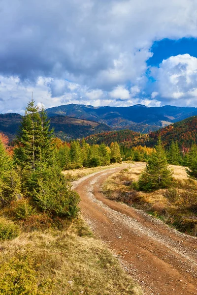 Transilvanya dağı Romanya 'da çitli renkli sonbahar manzarası
