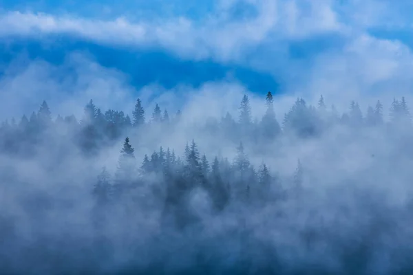 Abstract Landscape Mountains Fog Forest — Stock Photo, Image