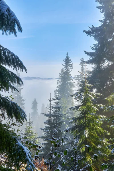 Beau Brouillard Par Une Matinée Ensoleillée Montagne Vue Sur Paysage — Photo