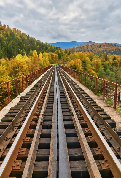 View Railway Bridge Prut River Beauteful Autumn Carpathian Mountains Yaremche — Stock Photo, Image