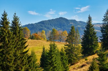 Karpat Dağları 'ndaki sonbaharın büyüleyici duvar halısına bakın. Görkemli tepeler gururla durur, çevrende canlı bir çiçek yaprakları vardır. Kırmızı, turuncu ve altın renkleri manzarayı boyar ve nefes kesici bir renk senfonisi yaratır..