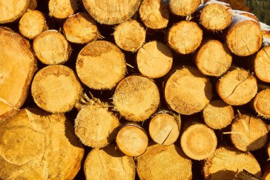 Yakıt odununun doğal arka plan yatay görüntüsü