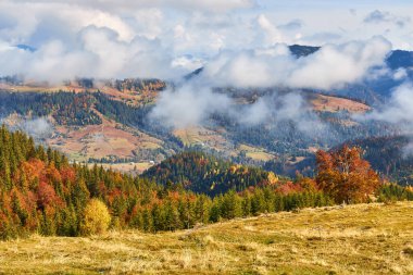 Bir Huzur Sahnesi: Renkli bir Vadi 'ye yerleştirilmiş Sakin bir köyle Dağlarda Bir Sonbahar Sabahı