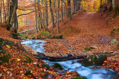 Resimli bir orman sahnesiyle karşılaşırken kendinizi sonbaharın dinginliğine daldırın. Küçük bir dağ deresi, büyüleyici ahşap bir köprüyle süslenmiş canlı yaprakların arasında zarifçe dolanıyor..