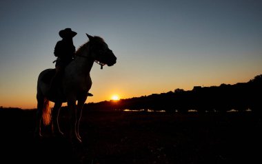 Güzel gün batımı sırasında atlı kovboy siluet. Bir kızın atlı siluet.
