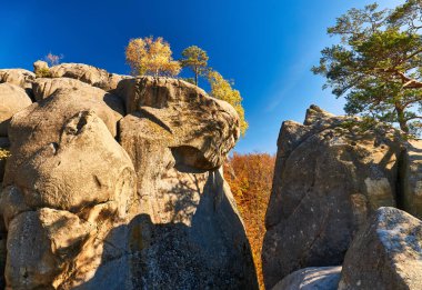 Dovbush rocks, group of rocks, natural and man-made caves carved into stone in the forest, named after the leader of the opryshky movement Oleksa Dovbush. clipart